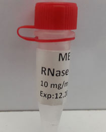 250uL  RNase A 10mg/mL