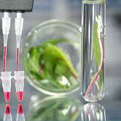 Plant RNA Extraction kit