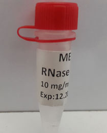    500ul  RNase A 10mg/ml