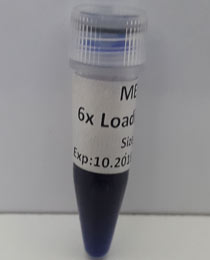  6x Loading-dye, 500 uL