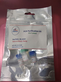 PCR purification kit    5preps