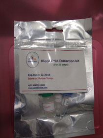 Blood DNA Extraction Kit    5preps