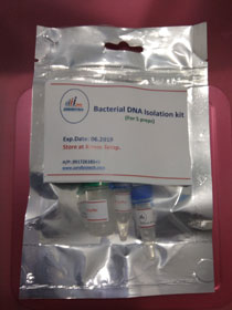 Bacterial DNA Extraction kit    5preps