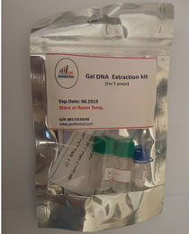 Gel DNA Extraction kit   5perep