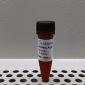 DNA Gel stain