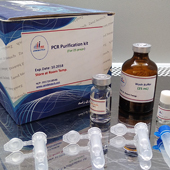 PCR purification kit      50preps