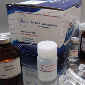 Gel DNA Extraction kit   50preps