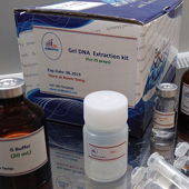 Gel DNA Extraction kit   25preps