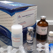 ZandBio Blood DNA  kit