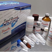 ZandBio Plasmid  kit