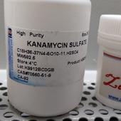 Bio Basic kanamycin 500mg  