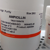 Bio Basic Ampicillin    500mg